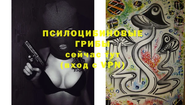 не бодяженный Иннополис
