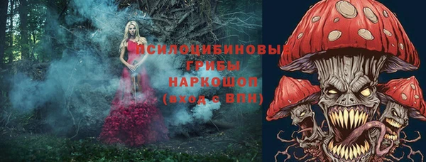 не бодяженный Иннополис