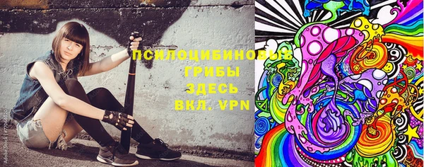 не бодяженный Иннополис