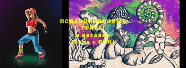 марки lsd Инта