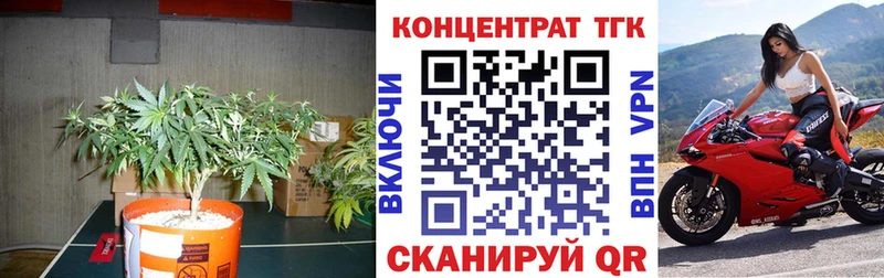 Купить закладки  Кольчугино  ТГК жижа 