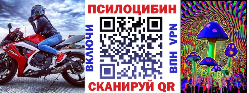 Купить где  Кольчугино  Псилоцибиновые грибы Cubensis 
