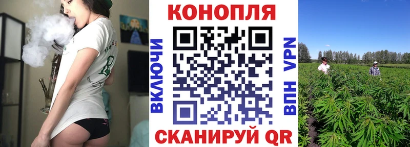 Шишки марихуана VHQ  Купить  Кольчугино 